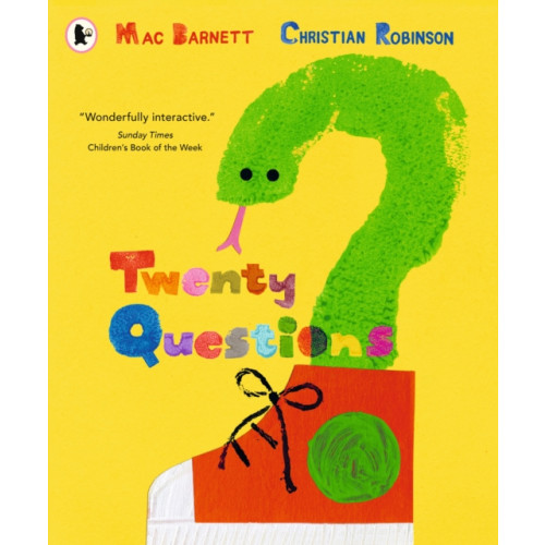 Walker Books Ltd Twenty Questions (häftad, eng)