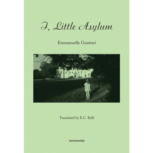 Autonomedia I, Little Asylum (häftad, eng)