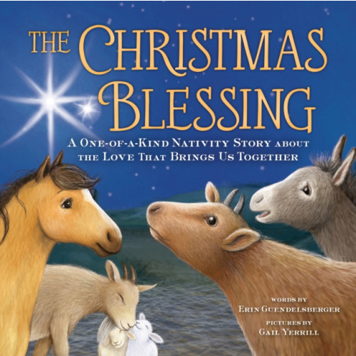 Sourcebooks, Inc The Christmas Blessing (inbunden, eng)