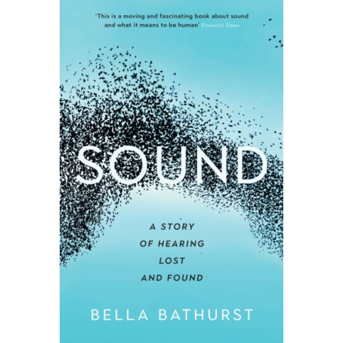 Profile Books Ltd Sound (häftad, eng)