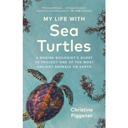 Greystone Books,Canada My Life with Sea Turtles (inbunden, eng)