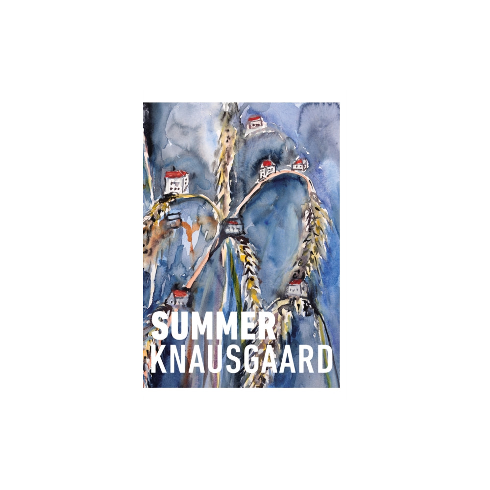 Produktbild för Summer (häftad, eng)