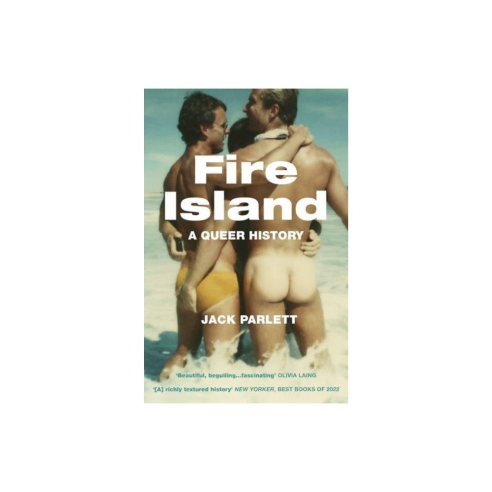 Produktbild för Fire Island (häftad, eng)