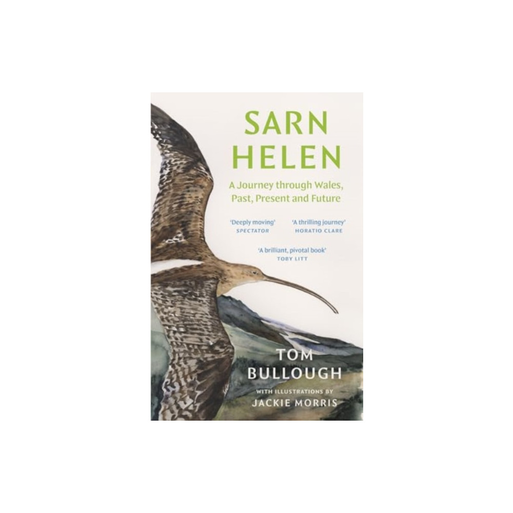 Produktbild för Sarn Helen (häftad, eng)