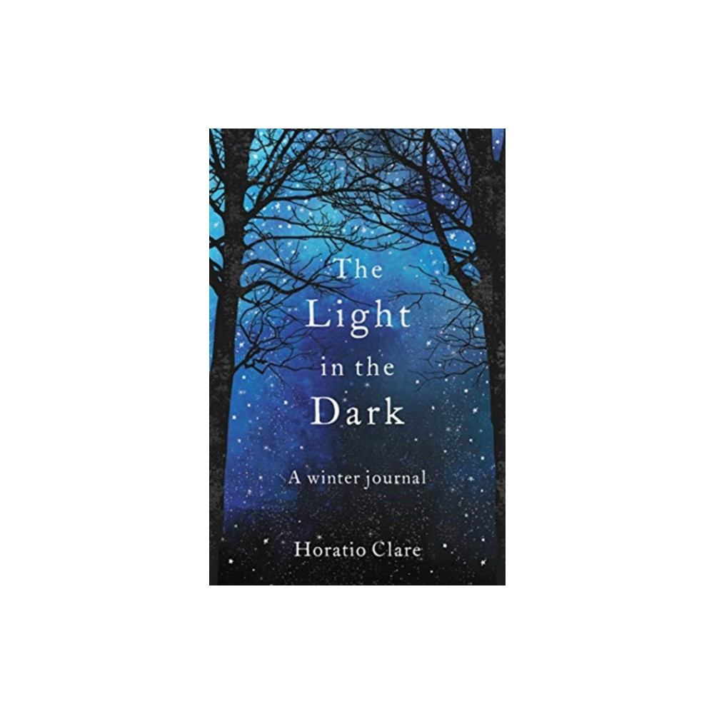 Produktbild för The Light in the Dark (häftad, eng)