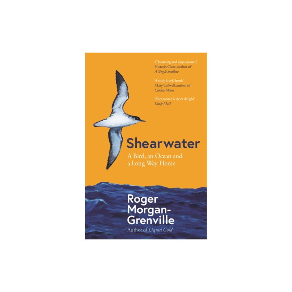 Produktbild för Shearwater (häftad, eng)