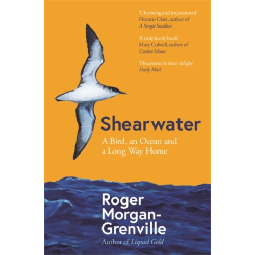 Icon Books Shearwater (häftad, eng)