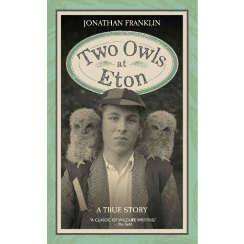 John Blake Publishing Ltd Two Owls at Eton - A True Story (inbunden, eng)