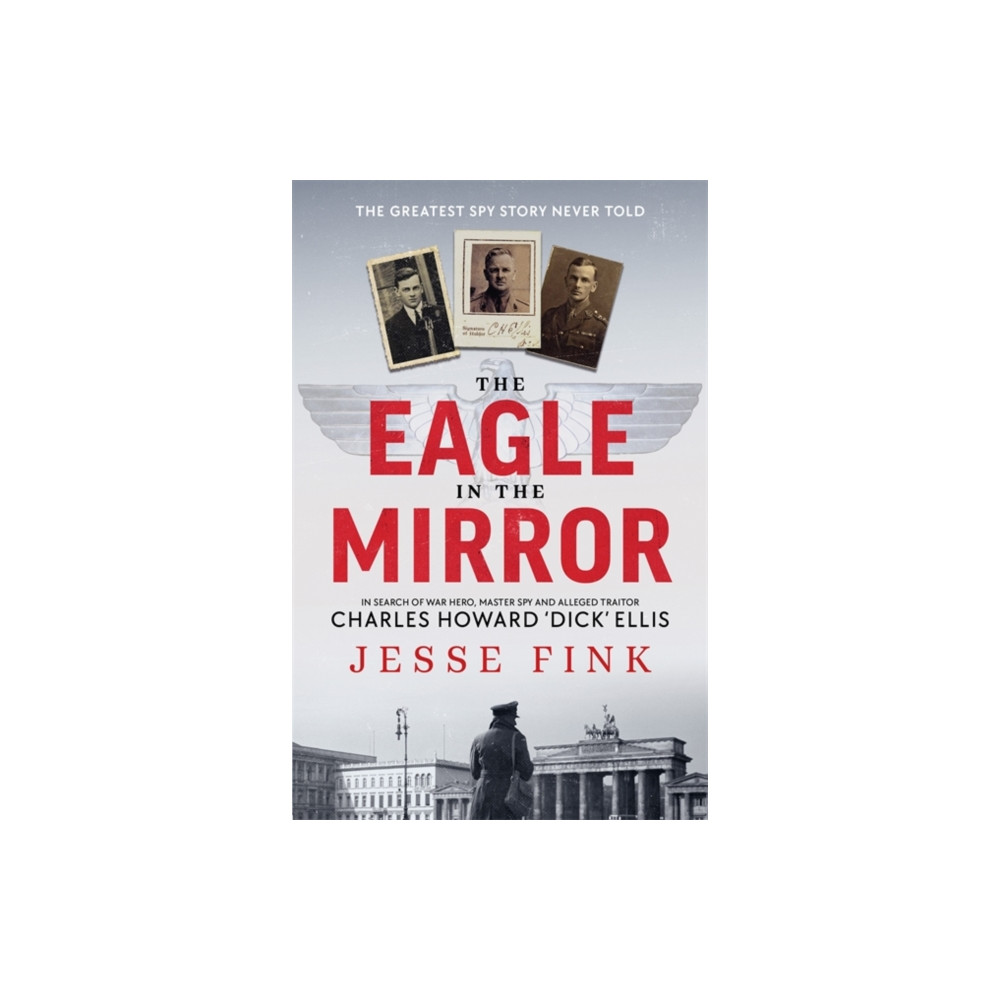 Produktbild för The Eagle in the Mirror (häftad, eng)