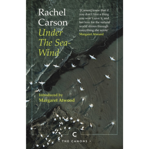 Canongate Books Under the Sea-Wind (häftad, eng)