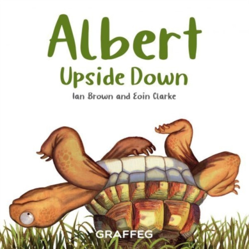 Graffeg Limited Albert Upside Down (häftad, eng)