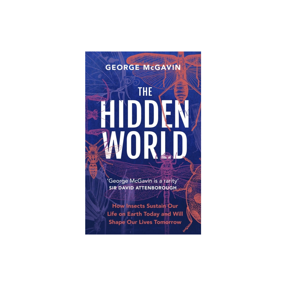 Produktbild för The Hidden World (häftad, eng)