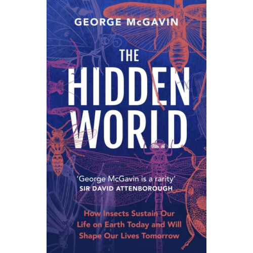 Headline Publishing Group The Hidden World (häftad, eng)