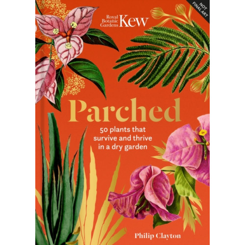 Headline Publishing Group Parched (inbunden, eng)