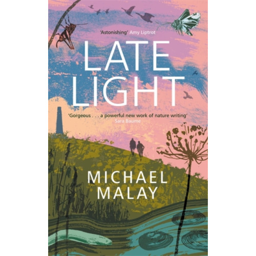 Bonnier Books Ltd Late Light (inbunden, eng)