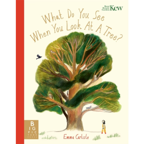 Templar Publishing What Do You See When You Look At a Tree? (häftad, eng)