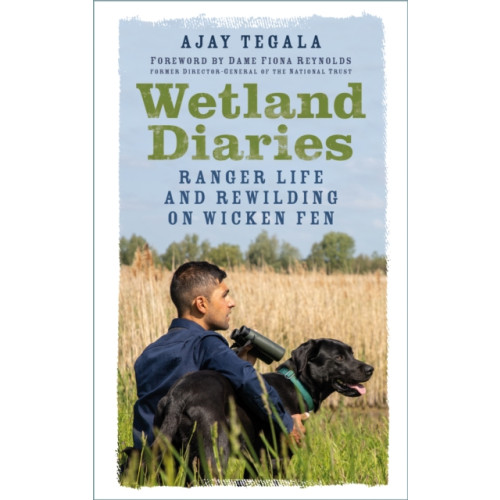 The History Press Ltd Wetland Diaries (häftad, eng)