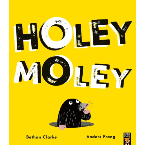 Little Tiger Press Group Holey Moley (häftad, eng)