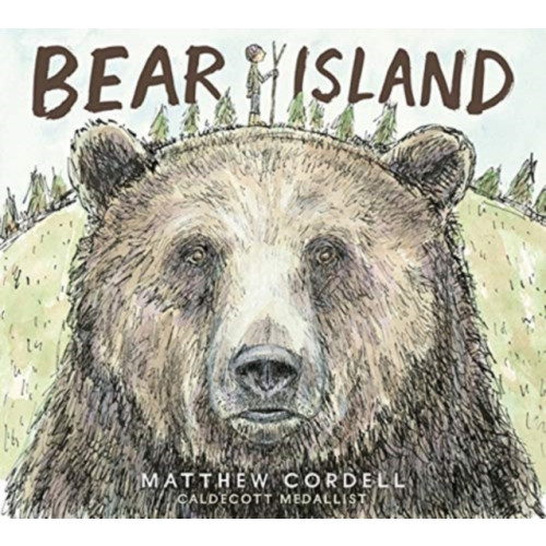 Andersen Press Ltd Bear Island (häftad, eng)