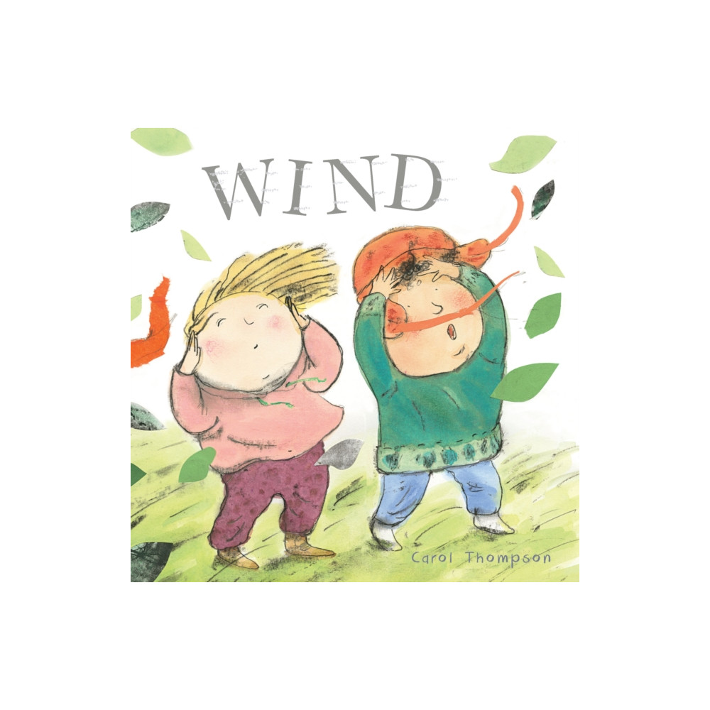 Produktbild för Wind (bok, board book, eng)