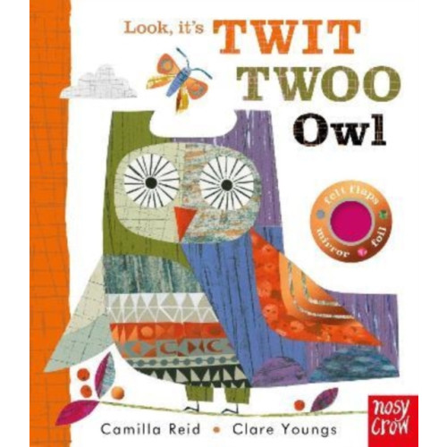 Nosy Crow Ltd Look, It's Twit Twoo Owl (bok, board book, eng)