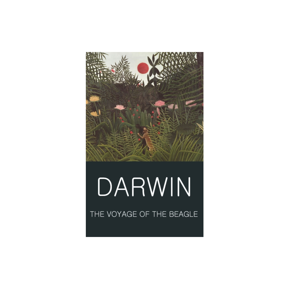 Produktbild för The Voyage of the Beagle (häftad, eng)