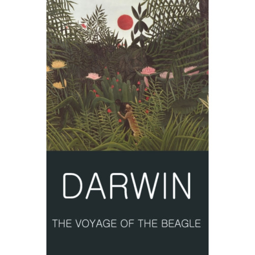 Wordsworth Editions Ltd The Voyage of the Beagle (häftad, eng)