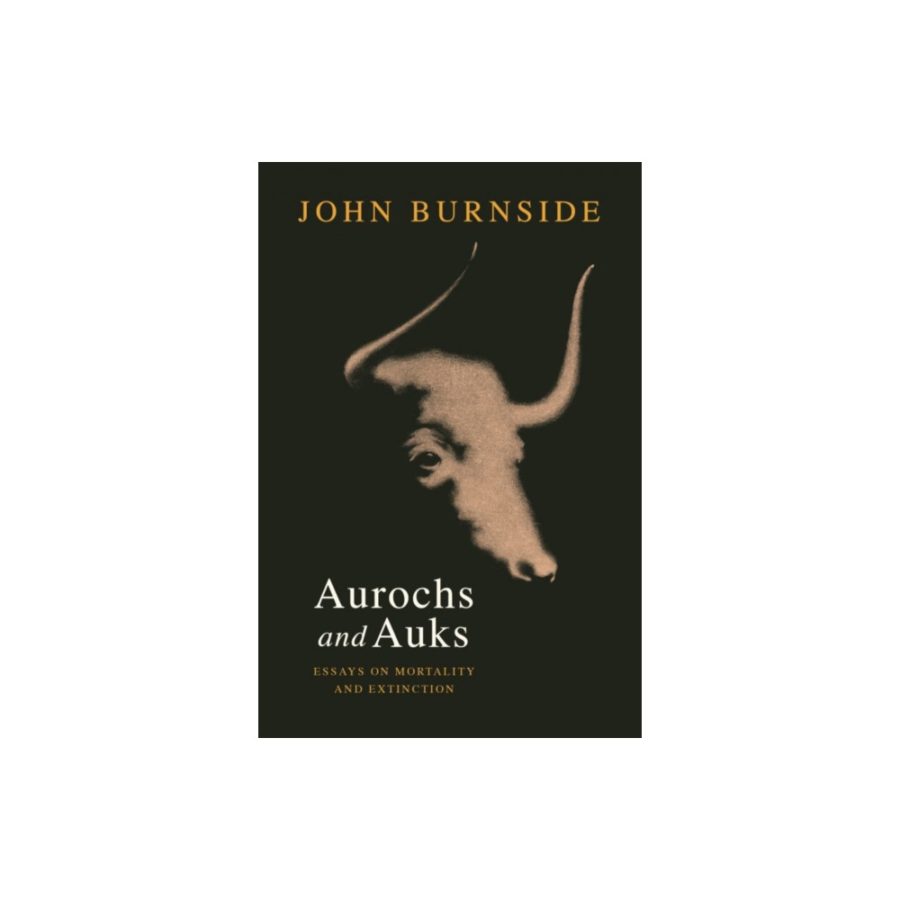 Produktbild för Aurochs and Auks (inbunden, eng)