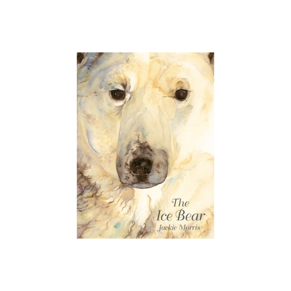 Produktbild för Ice Bear, The (inbunden, eng)