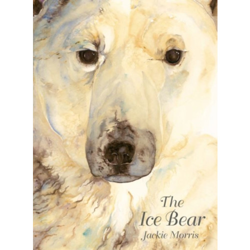 Graffeg Limited Ice Bear, The (inbunden, eng)