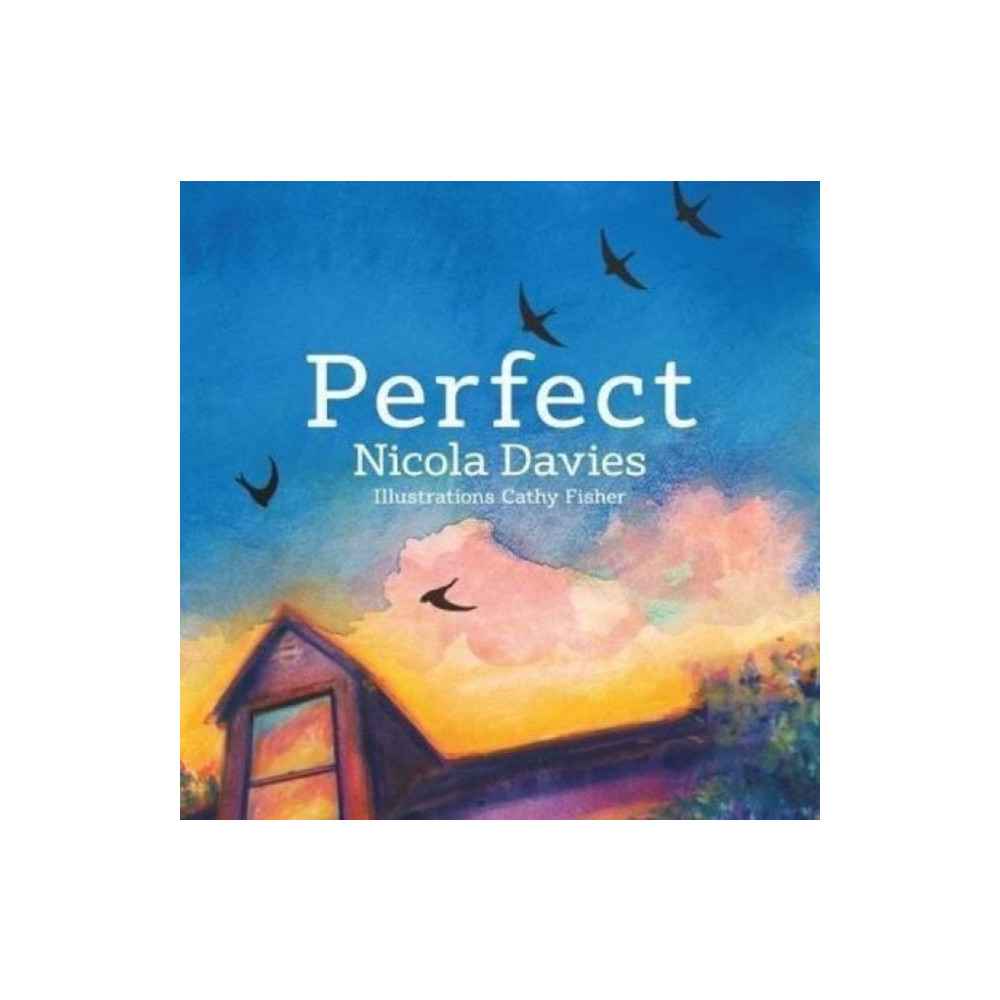 Produktbild för Perfect (häftad, eng)