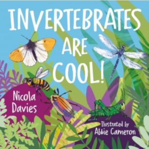 Graffeg Limited Animal Surprises: Invertebrates Are Cool! (häftad, eng)