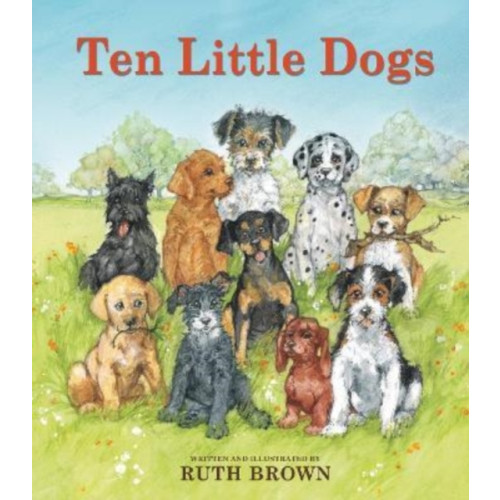 Scallywag Press Ten Little Dogs (bok, board book, eng)