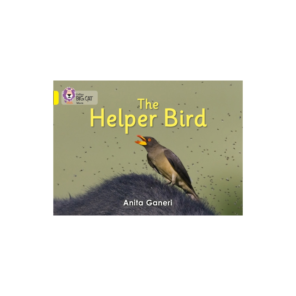 Produktbild för Helper Bird (häftad, eng)