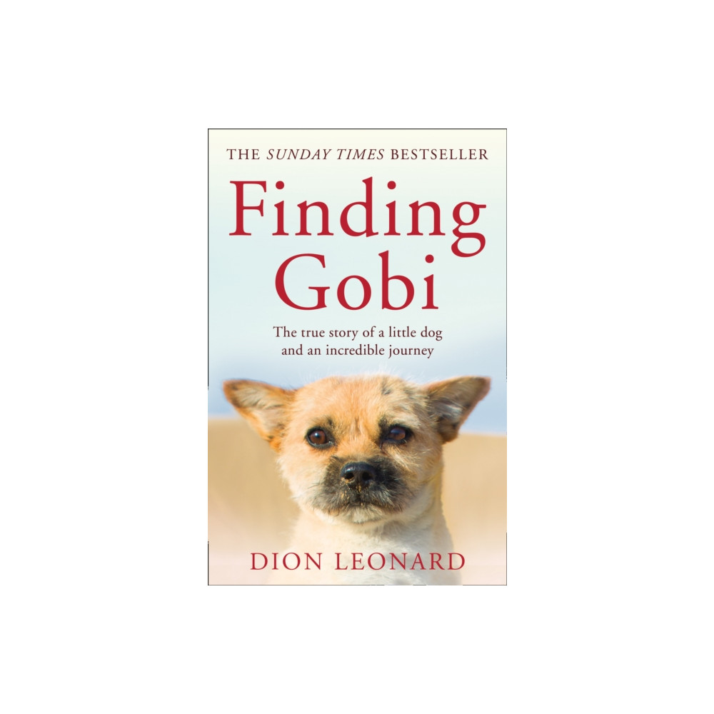 Produktbild för Finding Gobi (Main edition) (häftad, eng)