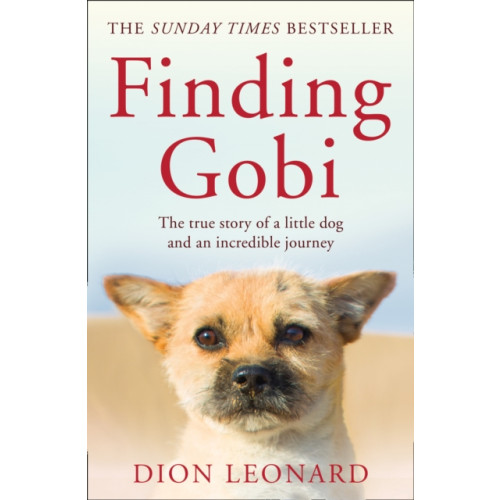 HarperCollins Publishers Finding Gobi (Main edition) (häftad, eng)