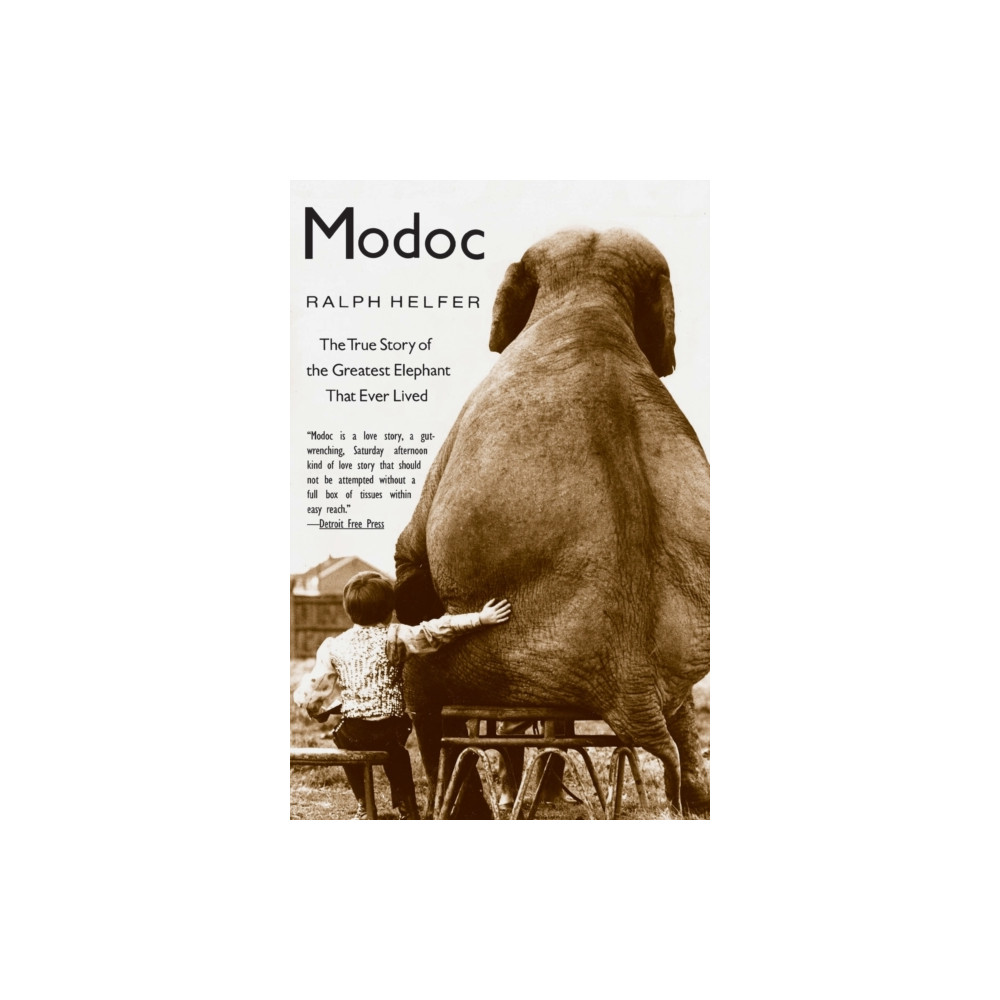 Produktbild för Modoc (häftad, eng)