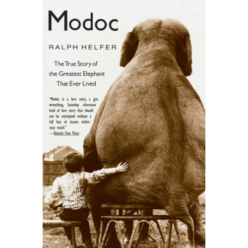 Harpercollins publishers inc Modoc (häftad, eng)