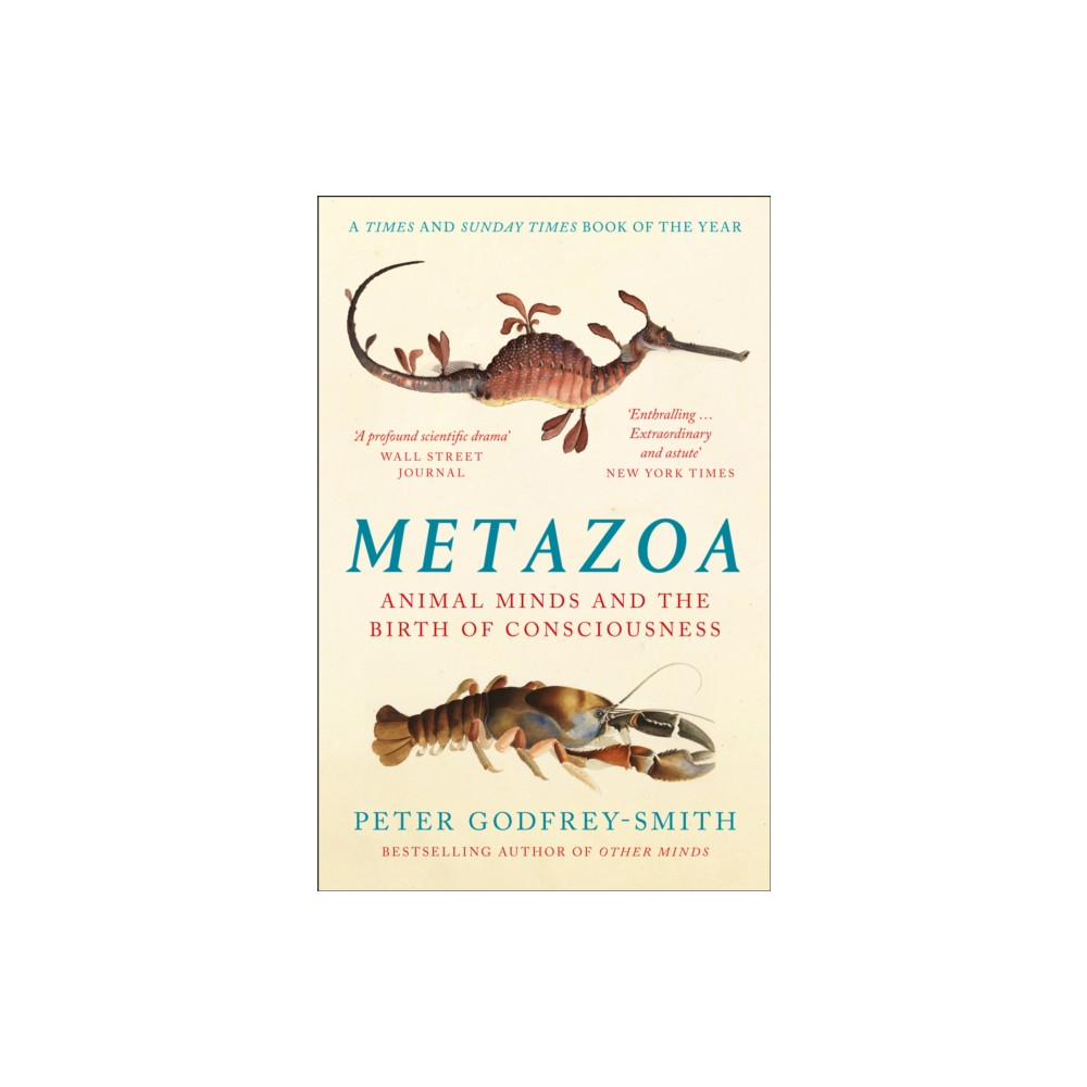 Produktbild för Metazoa (häftad, eng)