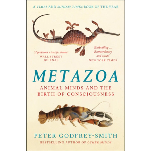 HarperCollins Publishers Metazoa (häftad, eng)