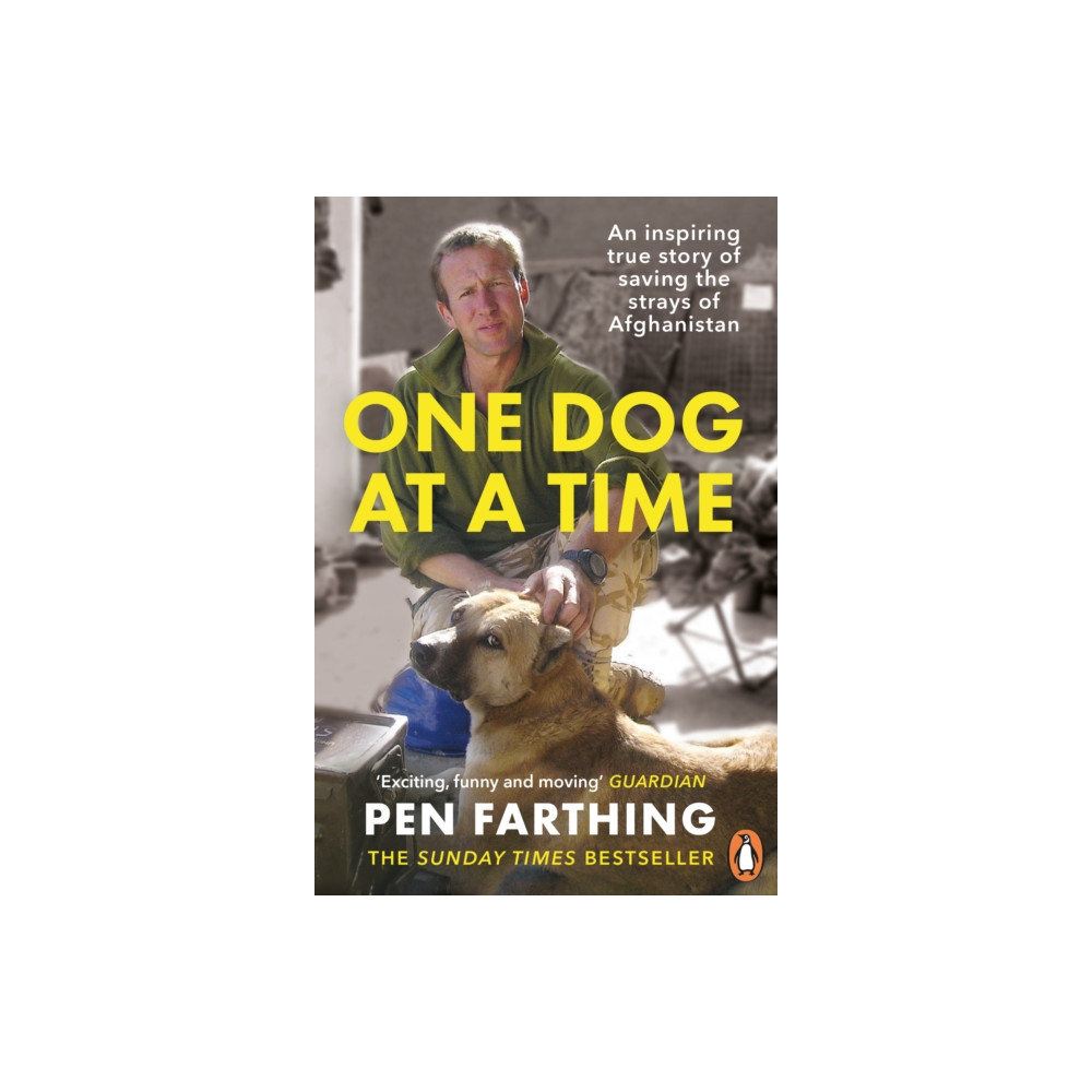Produktbild för One Dog at a Time (häftad, eng)