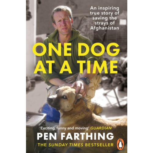 Ebury Publishing One Dog at a Time (häftad, eng)