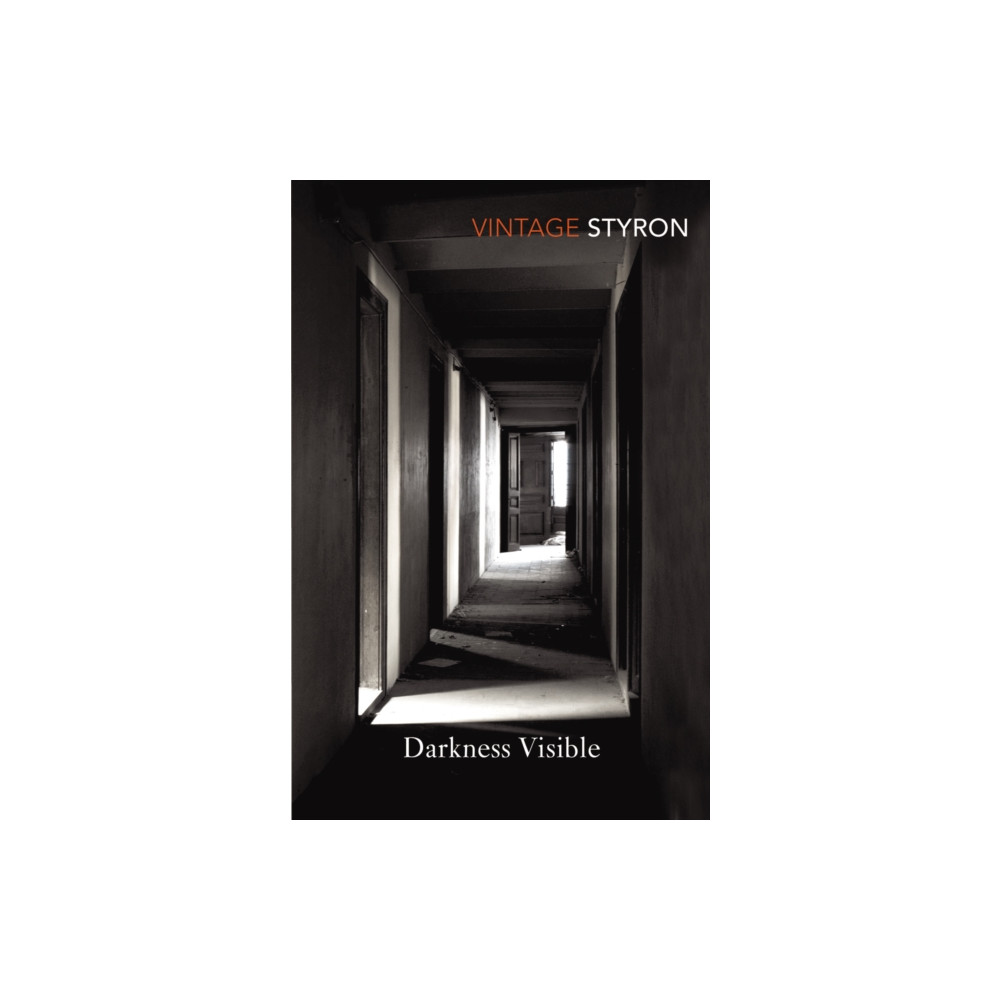 Produktbild för Darkness Visible (häftad, eng)