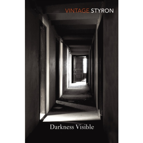 Vintage Publishing Darkness Visible (häftad, eng)