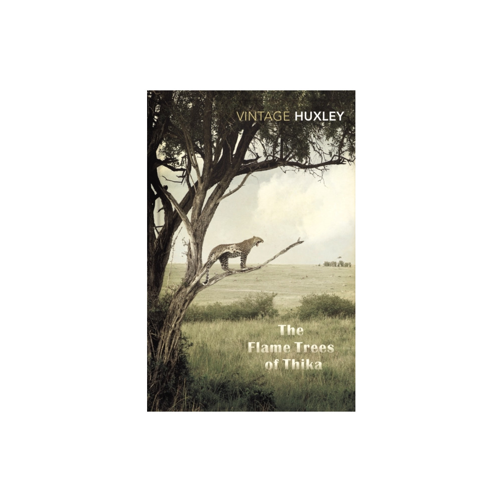 Produktbild för The Flame Trees Of Thika (häftad, eng)