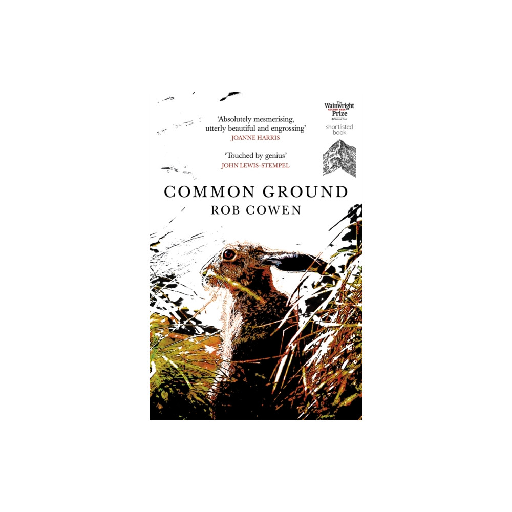 Produktbild för Common Ground (häftad, eng)