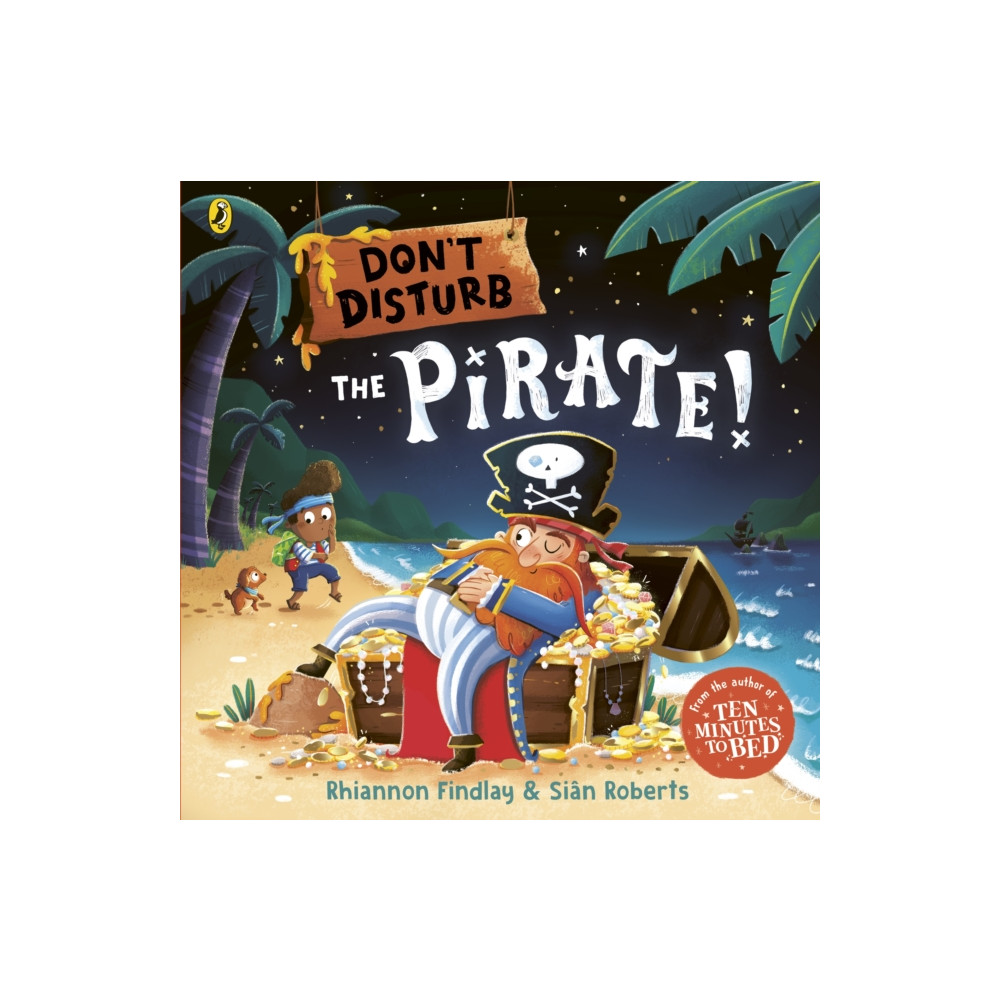 Produktbild för Don’t Disturb The Pirate (häftad, eng)