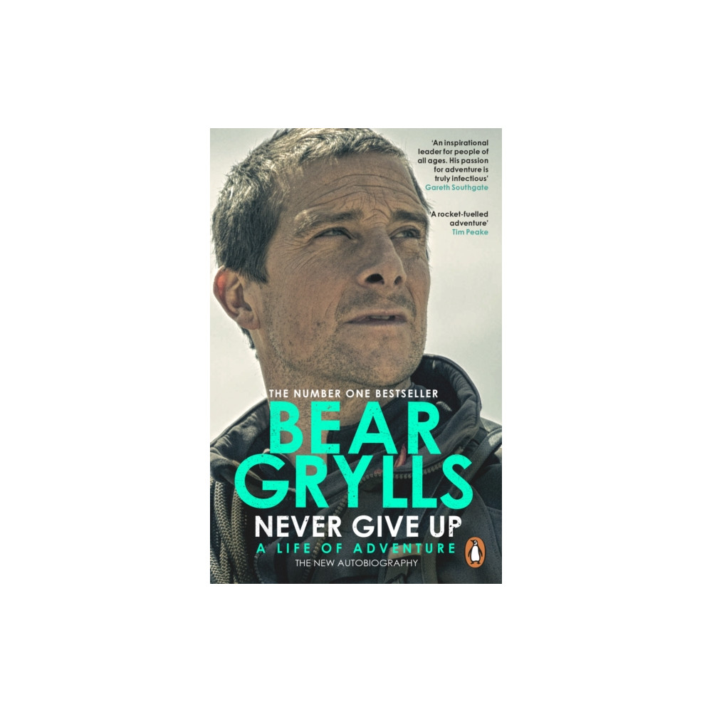 Produktbild för Never Give Up (häftad, eng)