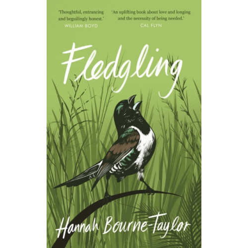 Quarto Publishing Plc Fledgling (inbunden, eng)