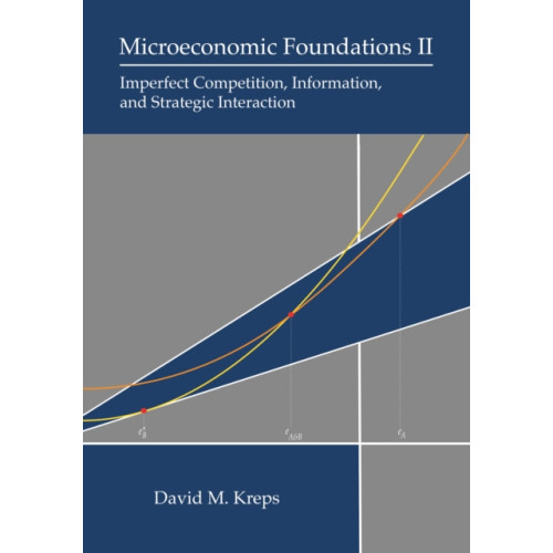 Princeton University Press Microeconomic Foundations II (inbunden, eng)